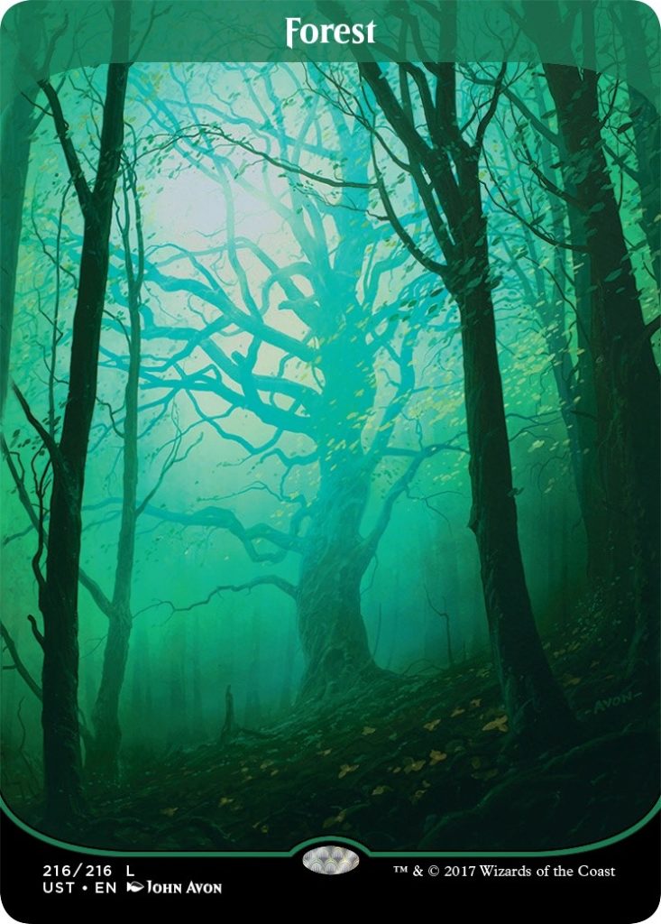 UN3 Full Art Borderless Forest by John Avon
